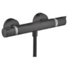 Hansgrohe Thermostatische Douchekraan EcoStat Comfort Zwart