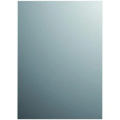 Plieger Spiegel Zilver 120x30 Cm