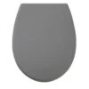 Tiger WC Bril Amadora Grijs Kunststof Met Softclose