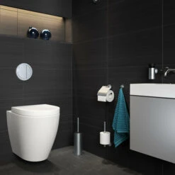 Tiger Noon Zelfklevende Kleine Haak Inox -Badkamer Winkel 123 3025